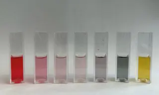 Alimentos seguros en empaques con biosensores inteligentes basados en compuestos naturales del Perú