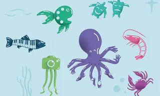 Cursos y talleres CCPUCP | Verano 2026